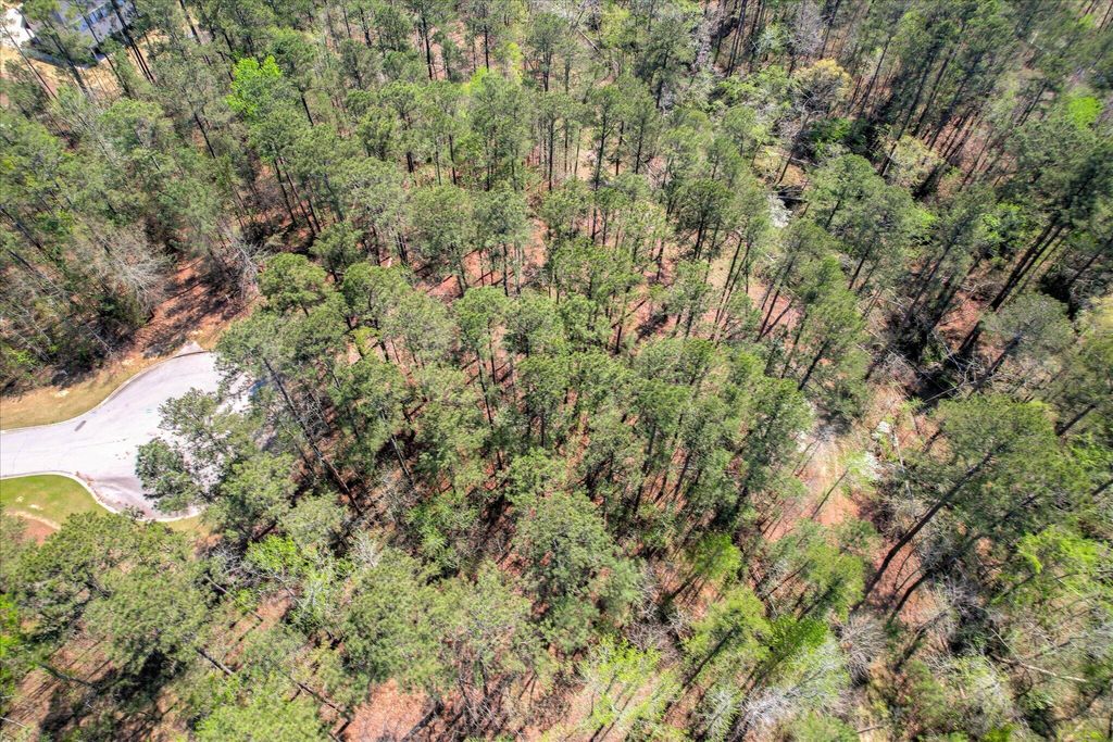 Photo of 33 Post Office Court, North Augusta, SC 29860 (MLS # 553909)