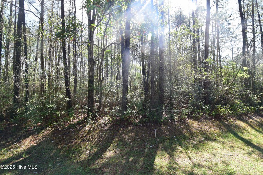 Photo of 900 River Reach Court, New Bern, NC 28560 (MLS # 100535184)
