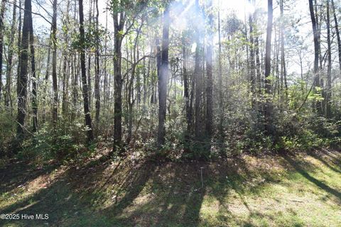 Vacant Land For Sale - 900 River Reach Court<br/> New Bern, NC 28560