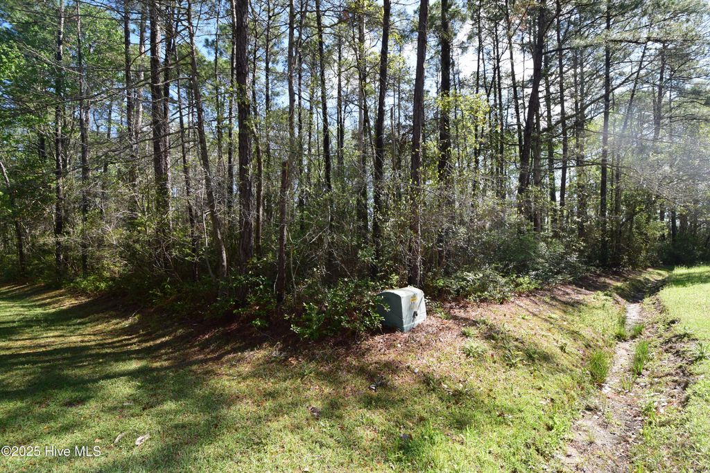 Photo of 900 River Reach Court, New Bern, NC 28560 (MLS # 100535184)