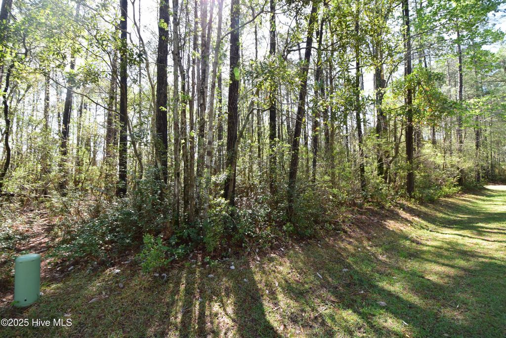 Photo of 900 River Reach Court, New Bern, NC 28560 (MLS # 100535184)