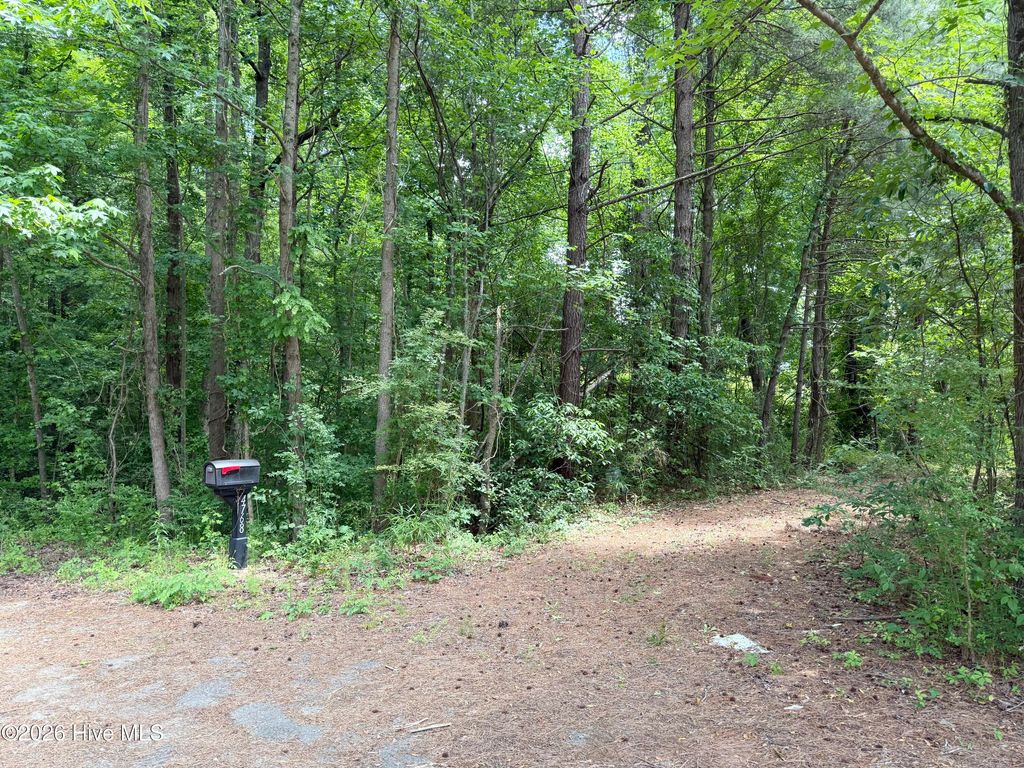 Photo of 4768 Maria Court, Grimesland, NC 27837 (MLS # 100574795)