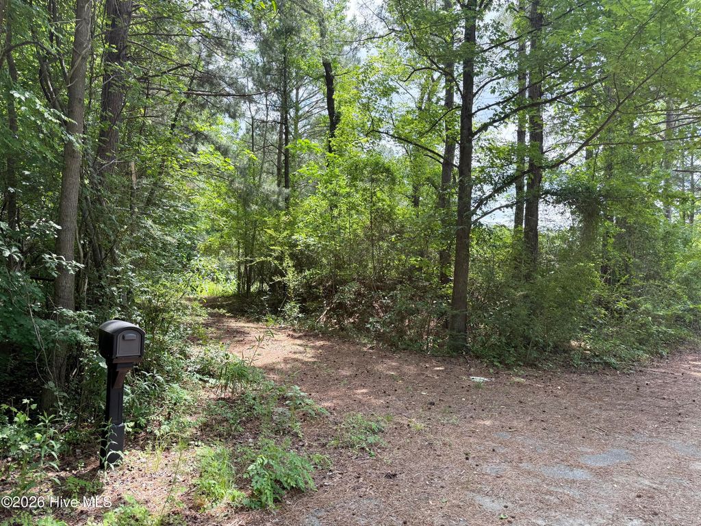 Photo of 4768 Maria Court, Grimesland, NC 27837 (MLS # 100574795)