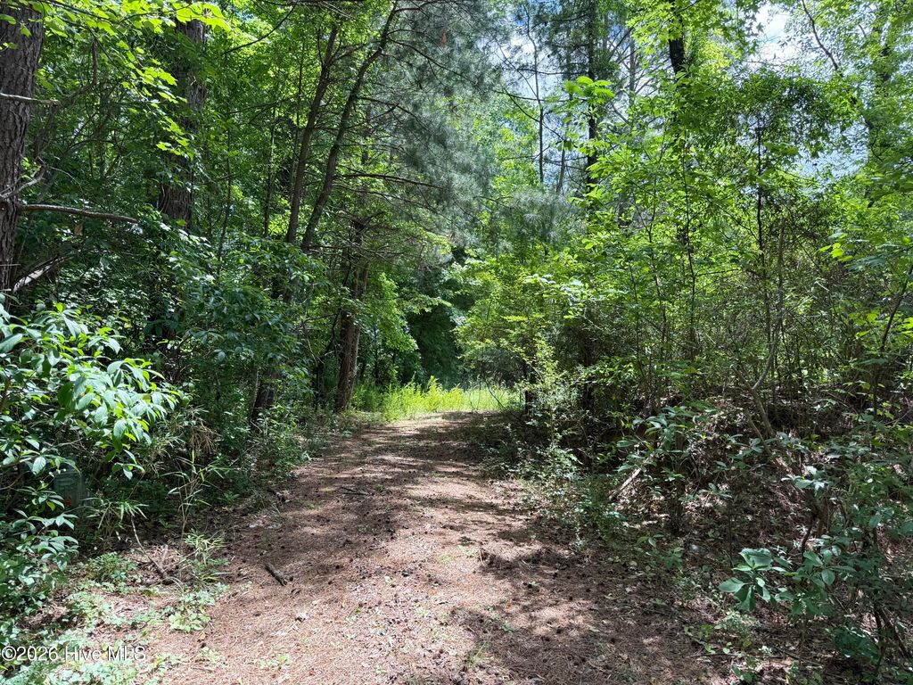 Photo of 4768 Maria Court, Grimesland, NC 27837 (MLS # 100574795)