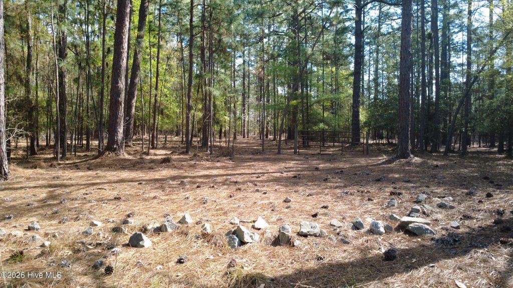Photo of Tbd Horse Creek Run, Pinehurst, NC 28374 (MLS # 100565540)
