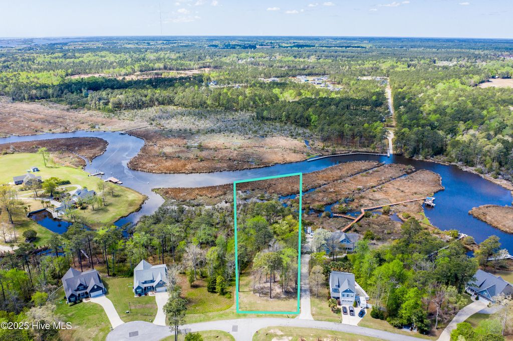 Photo of 209 Creek View Circle, Sneads Ferry, NC 28460 (MLS # 100523714)