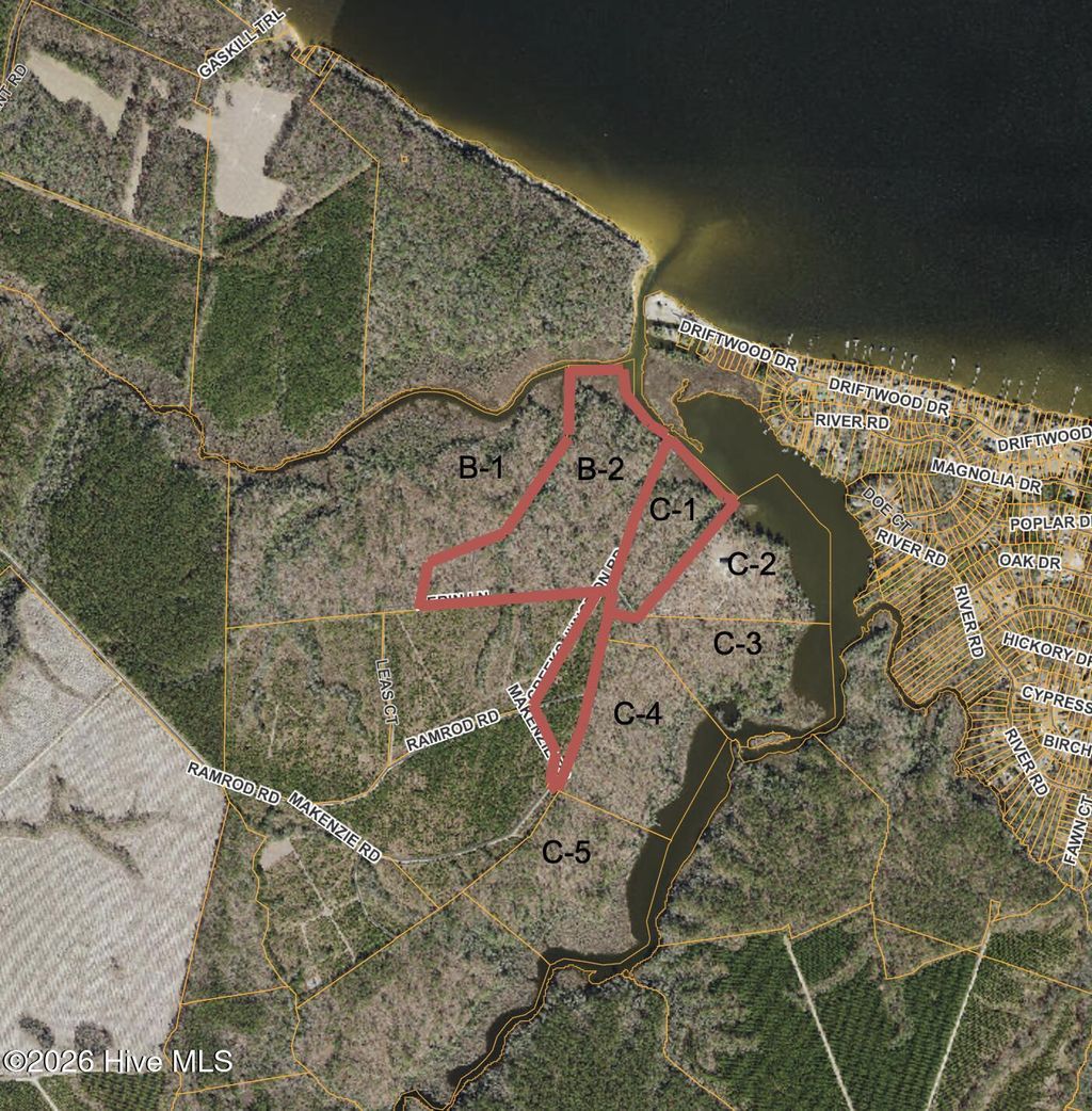 Photo of 2 Sr 1103 Off, Blounts Creek, NC 27814 (MLS # 100553088)