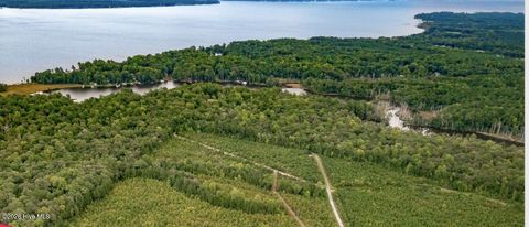 Vacant Land For Sale - B-2 Sr 1103 Off<br/> Blounts Creek, NC 27814