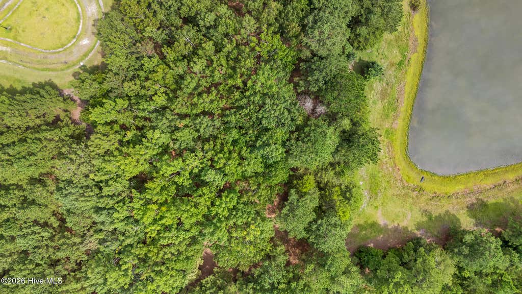 Photo of 116 Mimosa Court, Wallace, NC 28466 (MLS # 100599180)