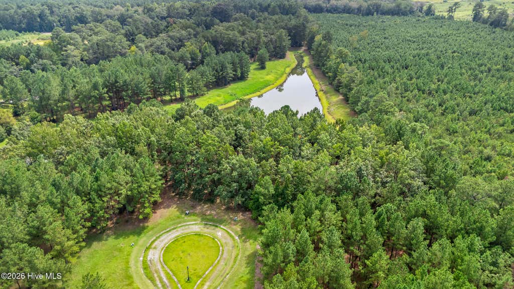 Photo of 116 Mimosa Court, Wallace, NC 28466 (MLS # 100599180)