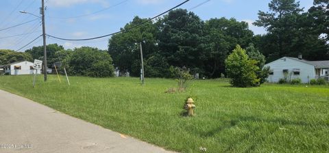 Vacant Land For Sale - TBD County Road<br/> Halifax County, Weldon, NC 27890