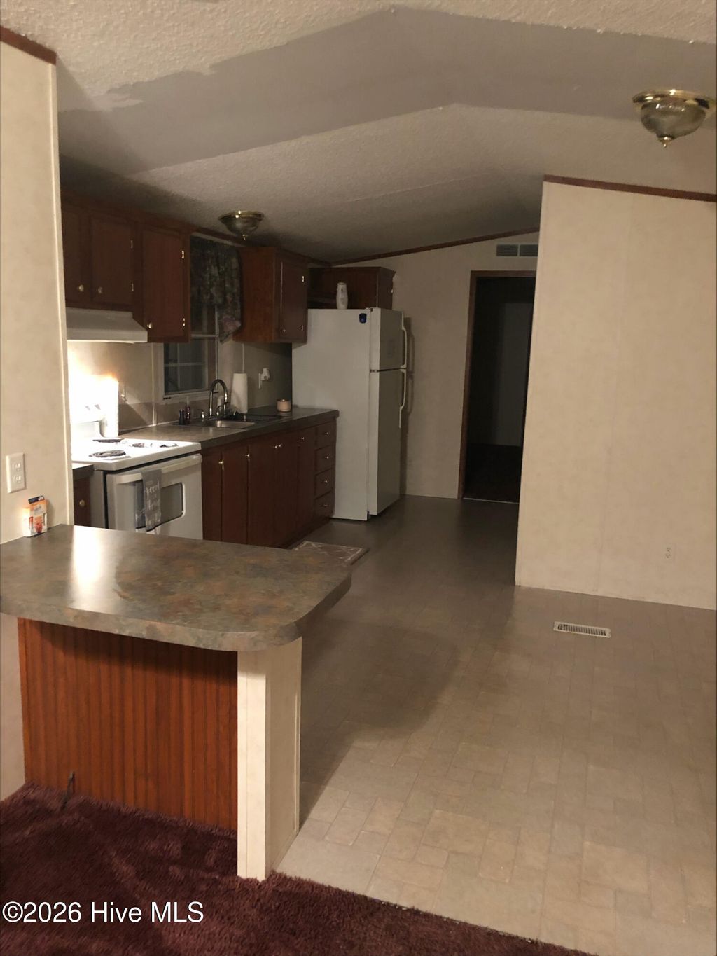 Photo of 484 Harbinger Street, Belhaven, NC 27810 (MLS # 100576770)