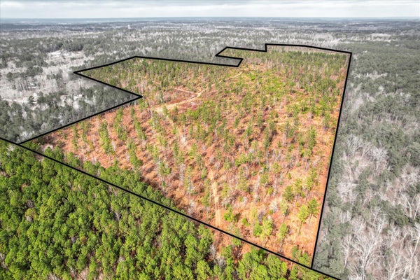 APPLING HARLEM RD, HARLEM, GA 30814 - Image e152e50ad70142a80ec3ee775ca0a3ca/202448984