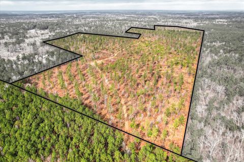 Vacant Land For Sale - Appling Harlem Road<br/> Harlem, GA 30814