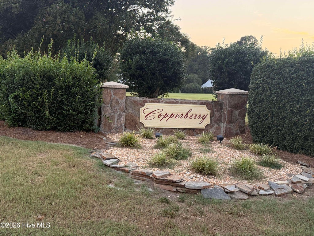 Photo of 5814 Nobleman Court, Elm City, NC 27822 (MLS # 100600636)
