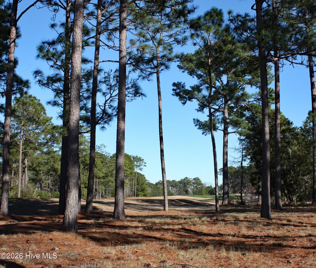 Photo of 462 Laurel Valley Drive, Shallotte, NC 28470 (MLS # 100548698)