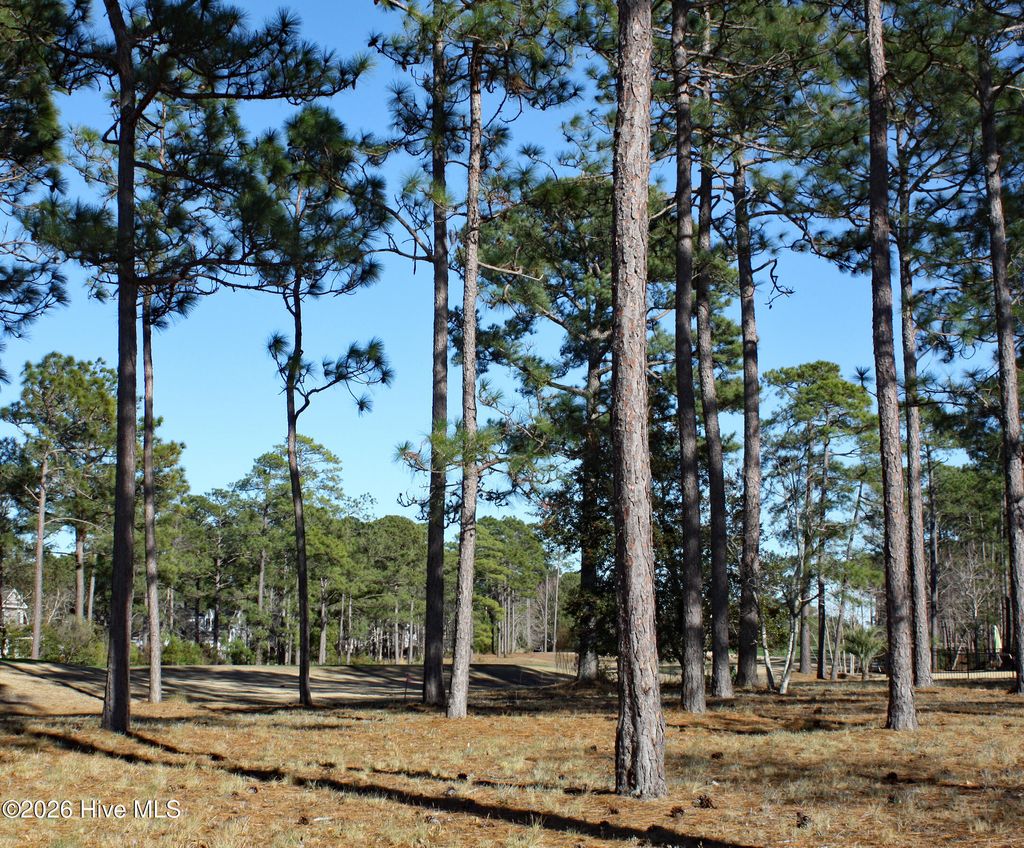 Photo of 462 Laurel Valley Drive, Shallotte, NC 28470 (MLS # 100548698)