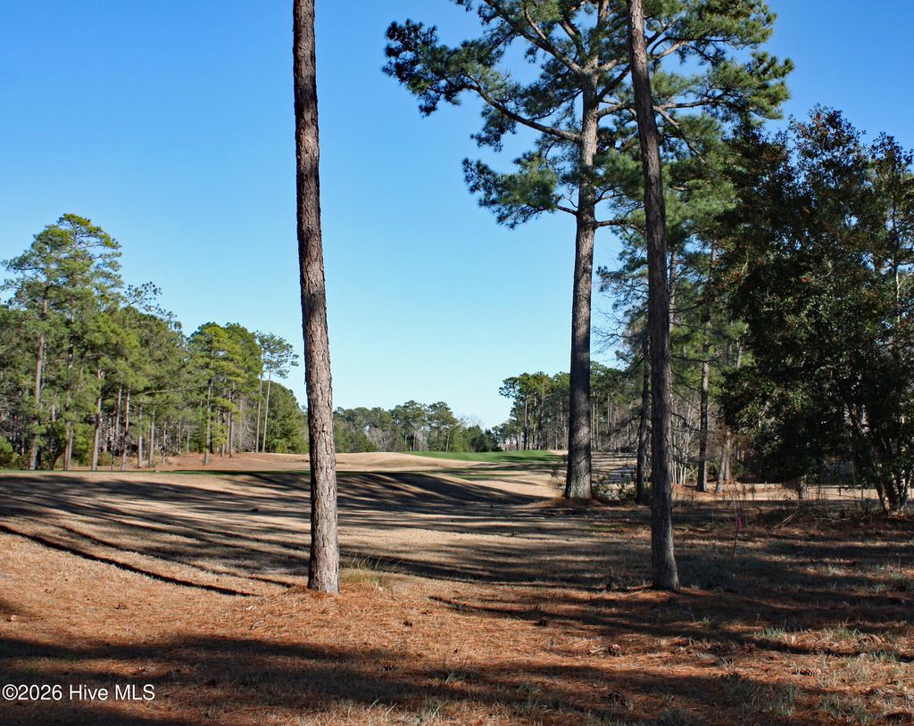 Photo of 462 Laurel Valley Drive, Shallotte, NC 28470 (MLS # 100548698)