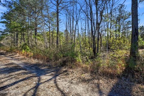 Tiny photo for 15460 Nc-210, Rocky Point, NC 28457 (MLS # 100556688)