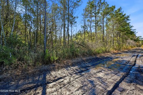Tiny photo for 15460 Nc-210, Rocky Point, NC 28457 (MLS # 100556688)