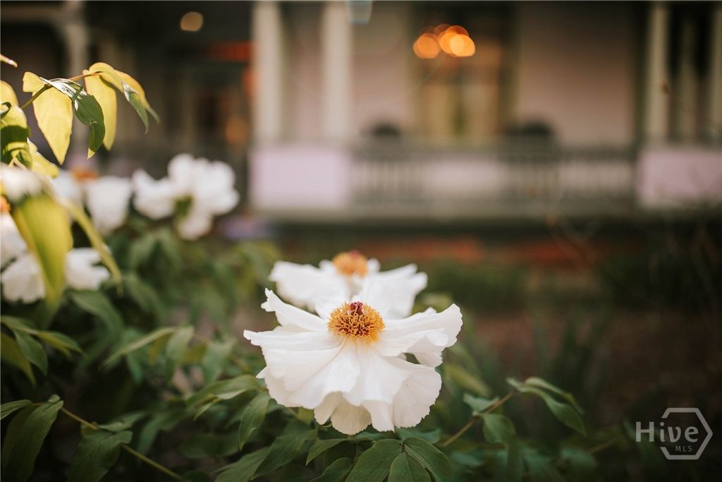 Photo of 229 N Woodlawn Drive, Crawford, GA 30630 (MLS # CL346856)