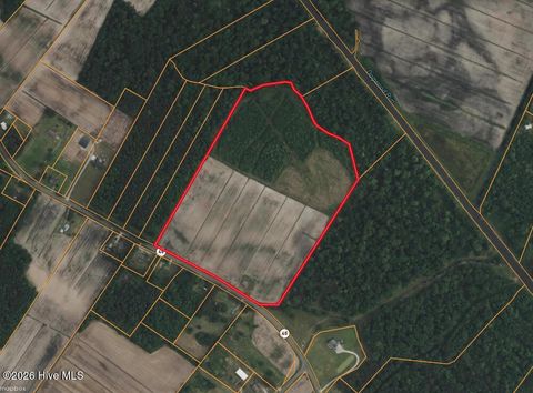 Vacant Land For Sale - 7426 Nc 99 Highway<br/> Pantego, NC 27860