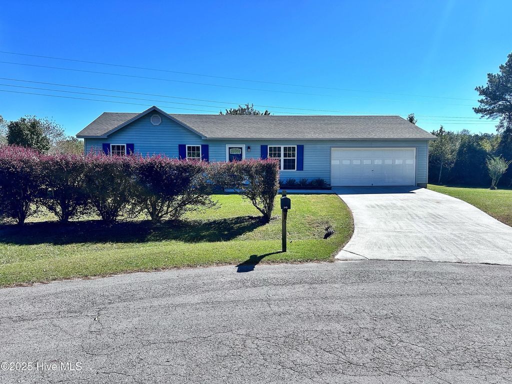 Photo of 303 Tundra Place, Jacksonville, NC 28540 (MLS # 100540544)