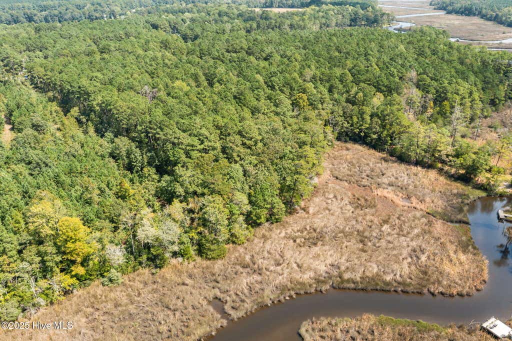 Photo of 238 Mill Creek Road, Stella, NC 28582 (MLS # 100599003)