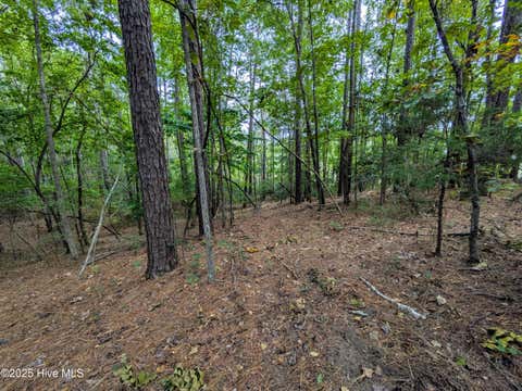 Tiny photo for 238 Mill Creek Road, Stella, NC 28582 (MLS # 100599003)