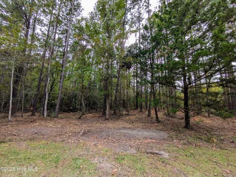 Tiny photo for 238 Mill Creek Road, Stella, NC 28582 (MLS # 100599003)