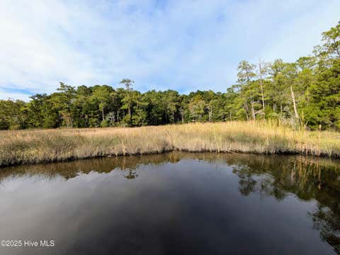 Tiny photo for 238 Mill Creek Road, Stella, NC 28582 (MLS # 100599003)