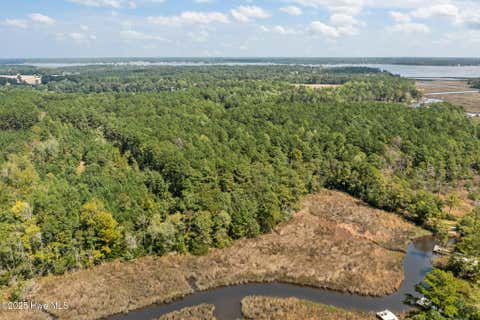 Tiny photo for 238 Mill Creek Road, Stella, NC 28582 (MLS # 100599003)