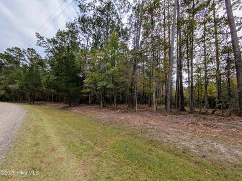 Tiny photo for 238 Mill Creek Road, Stella, NC 28582 (MLS # 100599003)