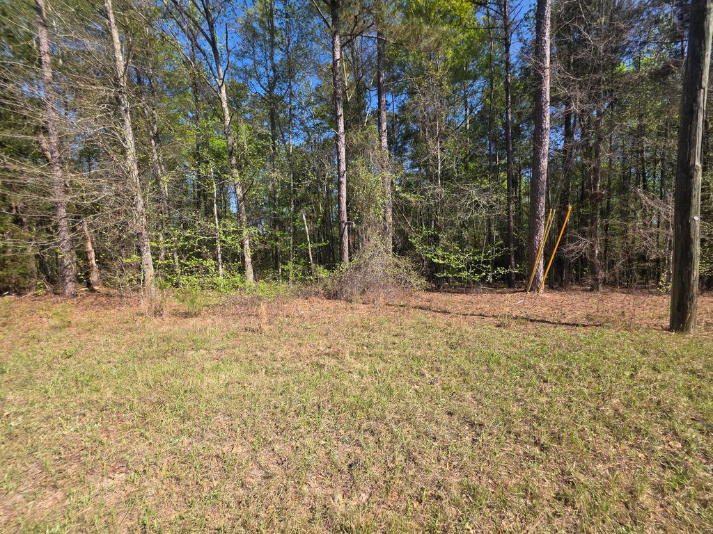 Photo of Tract B Georgia 102, Gibson, GA 30810 (MLS # 554002)