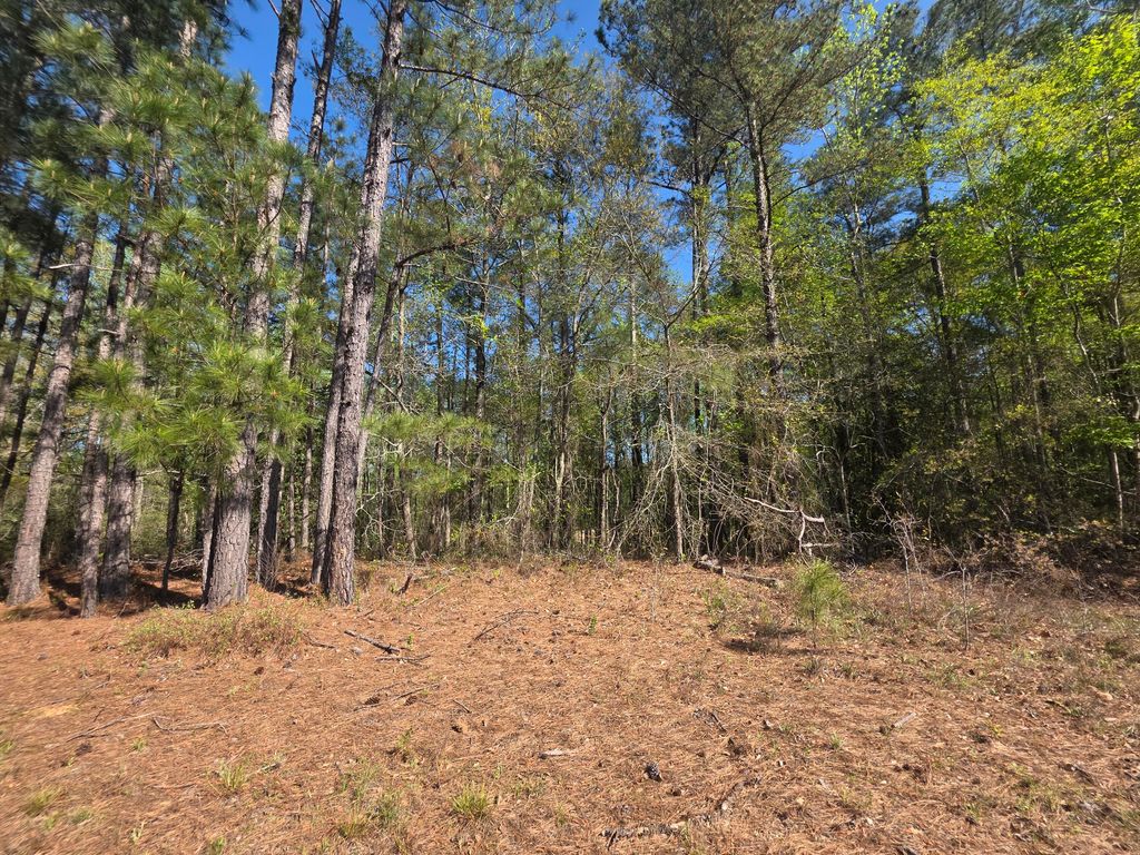 Photo of Tract B Georgia 102, Gibson, GA 30810 (MLS # 554002)
