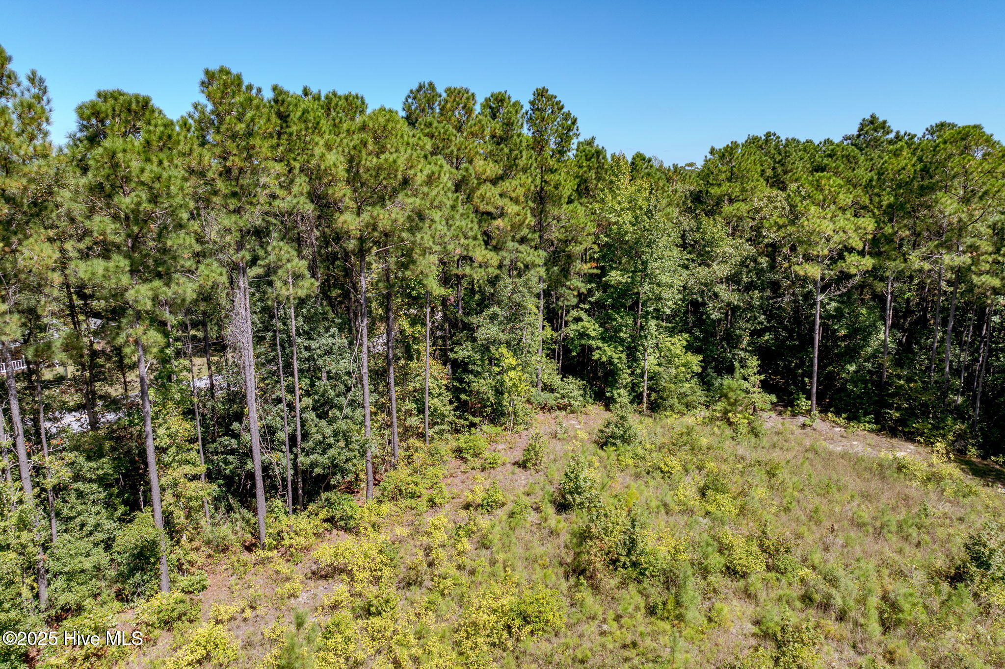 529 Holly Ridge Road