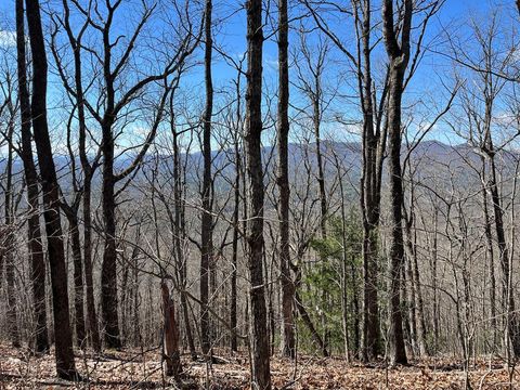 Vacant Land For Sale - TBD Treehouse Trail<br/> Murphy, NC 28906