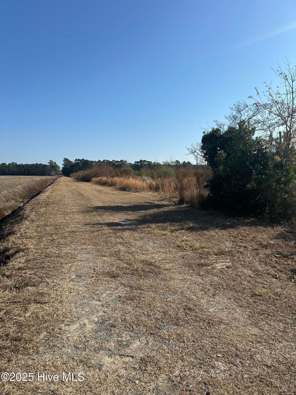 Photo of 3661 Dolph Lewis Road, Cerro Gordo, NC 28430 (MLS # 100546592)