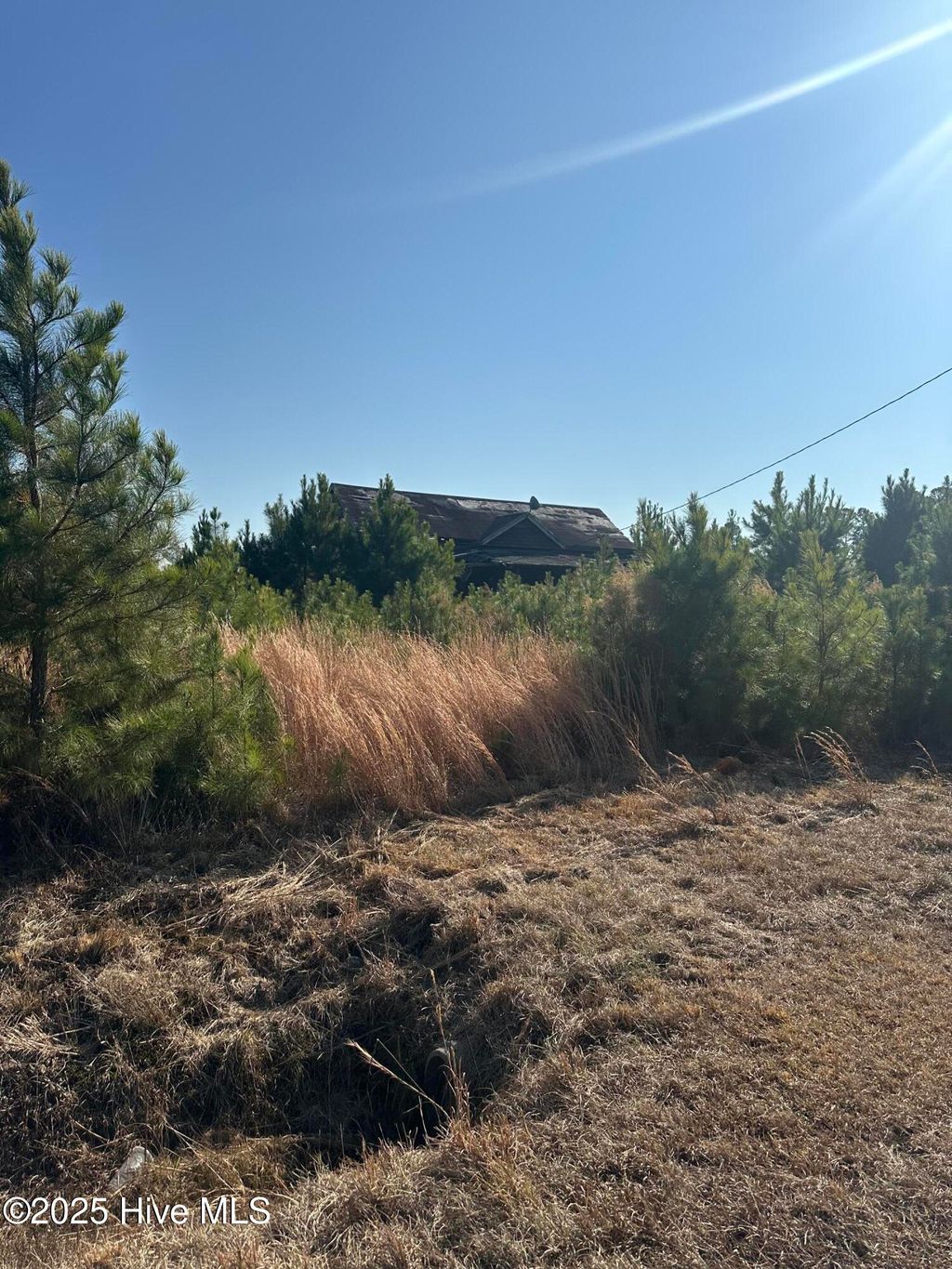 Photo of 3661 Dolph Lewis Road, Cerro Gordo, NC 28430 (MLS # 100546592)