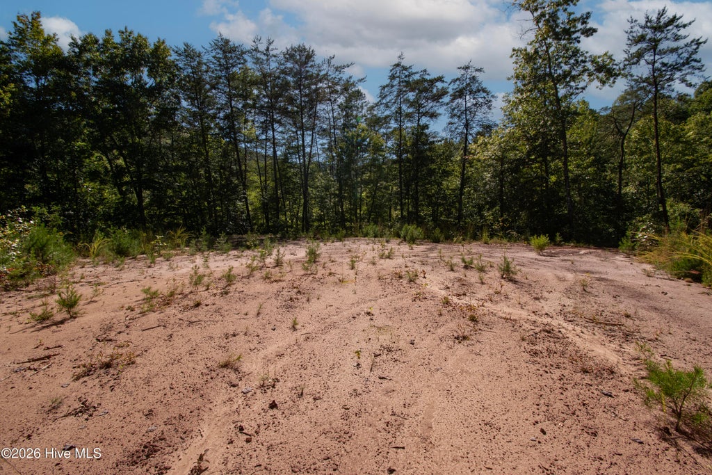 Photo of 00 Upper Sawyers Creek Road, Robbinsville, NC 28771 (MLS # 100607060)