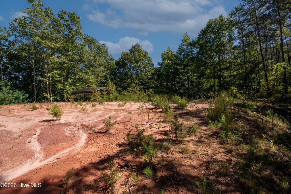 Photo of 00 Upper Sawyers Creek Road, Robbinsville, NC 28771 (MLS # 100607060)