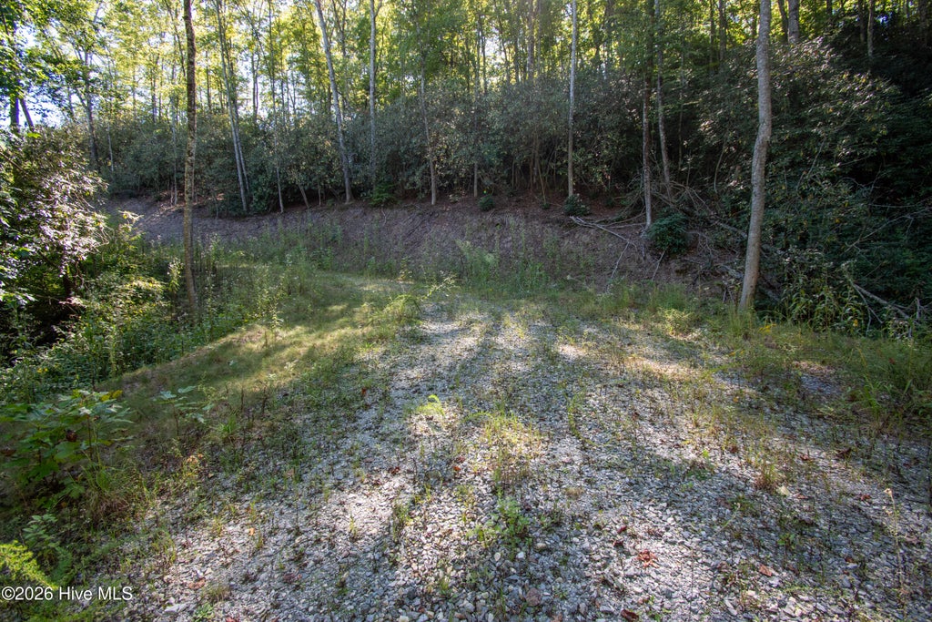 Photo of 00 Upper Sawyers Creek Road, Robbinsville, NC 28771 (MLS # 100607060)