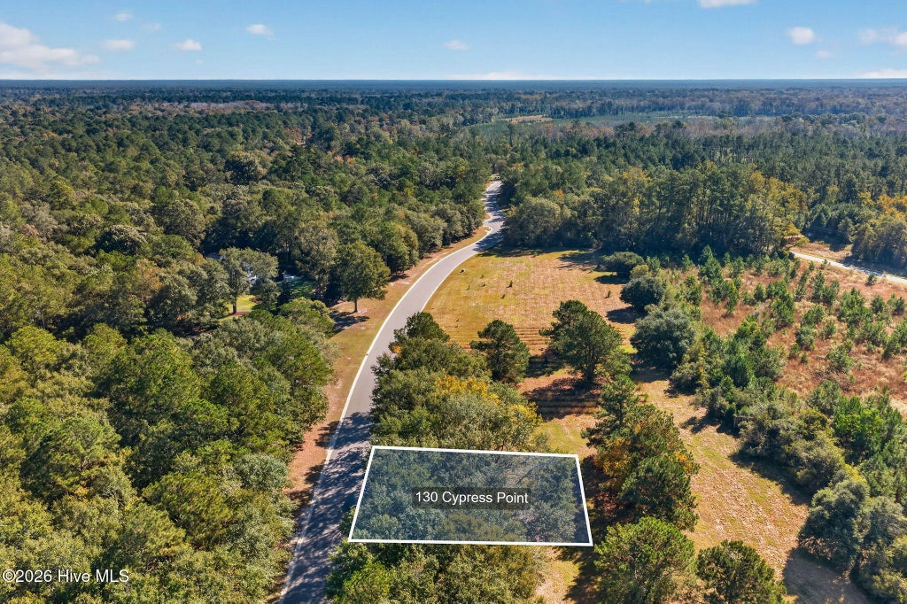 Photo of 130 Cypress Point, Wallace, NC 28466 (MLS # 100612321)