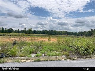 Photo of 1256 Acadia Drive, Thomson, GA 30824 (MLS # 100612496)