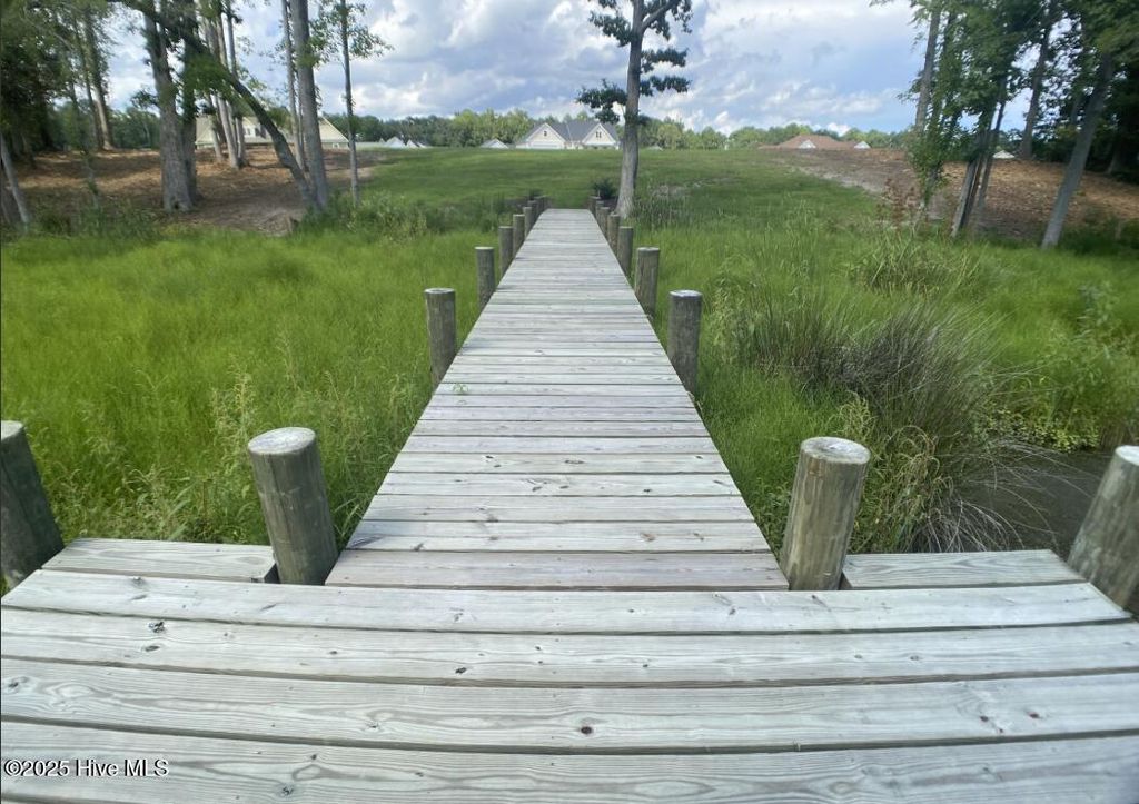 Photo of 8098 Bridgewater Drive S, Bath, NC 27808 (MLS # 100519691)