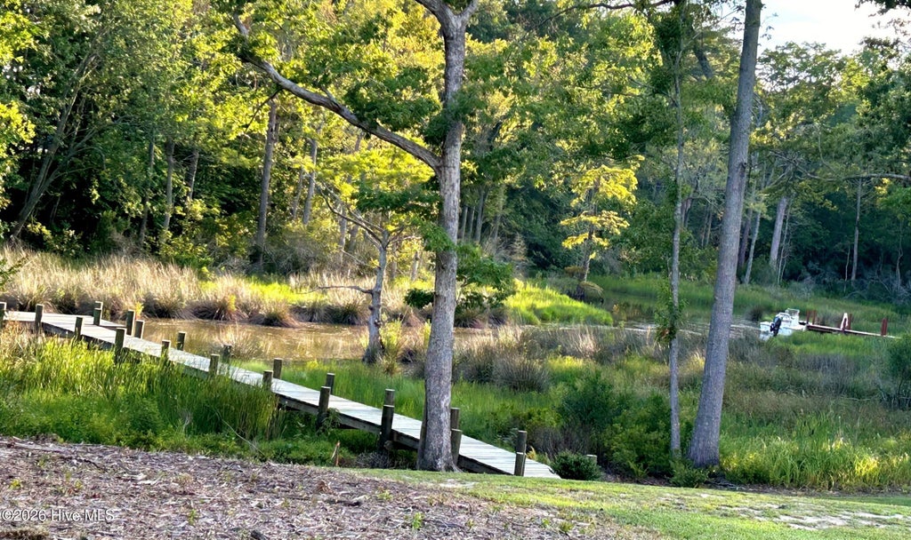 Photo of 98 Bridgewater S Drive, Bath, NC 27808 (MLS # 100519691)