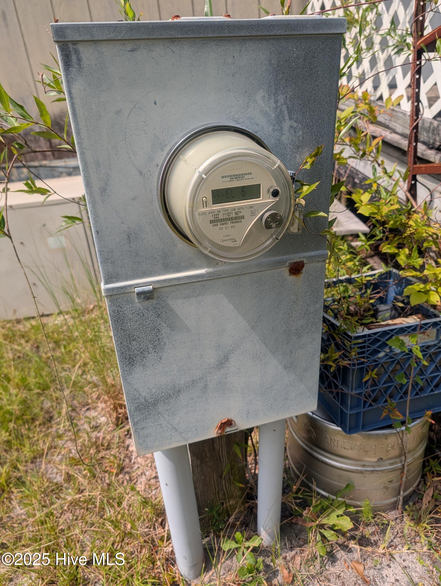 Richlands, North Carolina 28574, United States, ,Land,Active,256062