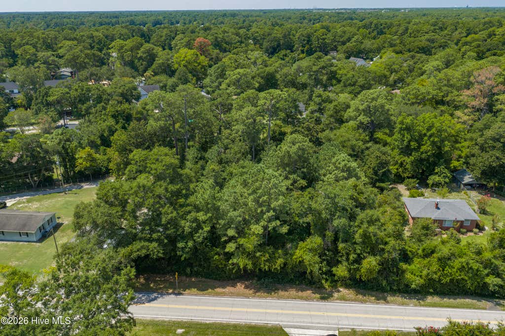 Photo of 239 Rogersville Road, Wilmington, NC 28405 (MLS # 100596440)