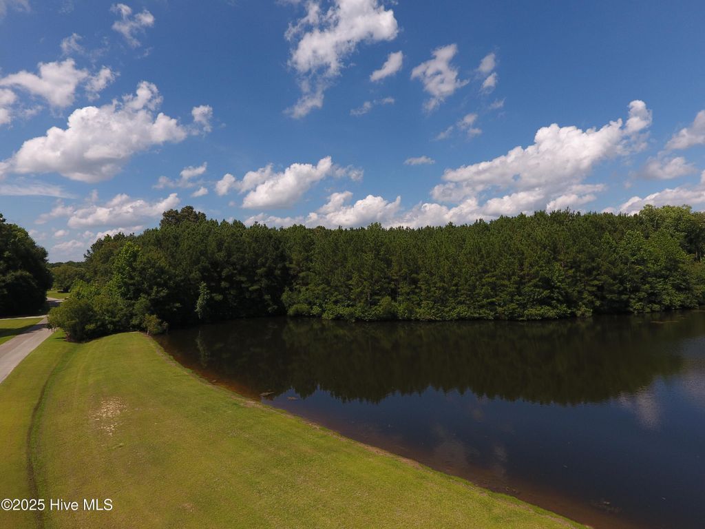 Photo of 230 Whites Crossing Lane, Whiteville, NC 28472 (MLS # 100515809)