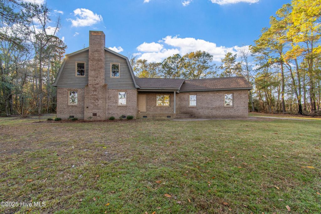 Photo of 50 Irvin Enzor Road S, Fair Bluff, NC 28439 (MLS # 100544820)
